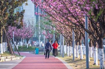 解码公园城市|踏着绿道逛回家，让回家的路更有温度！