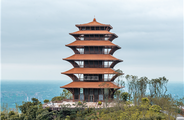 解读公园城市之美！CDAD执行副总规划师何昕为成都市中小学生开讲“第一课”